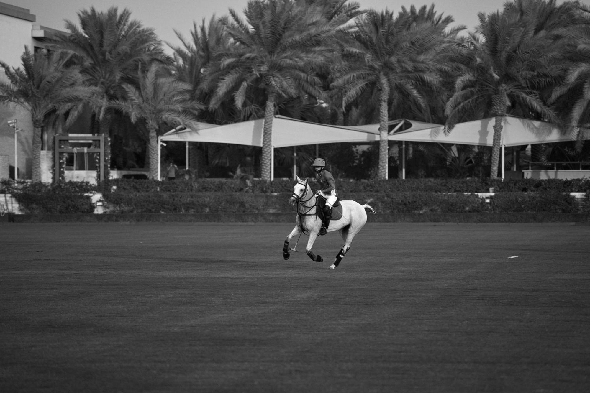Hotel Meliá Desert Palm Member Of Meliá Collection Dubai
